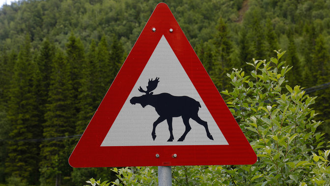 Közelkép egy a vadállatokra figyelmeztető tábláról.